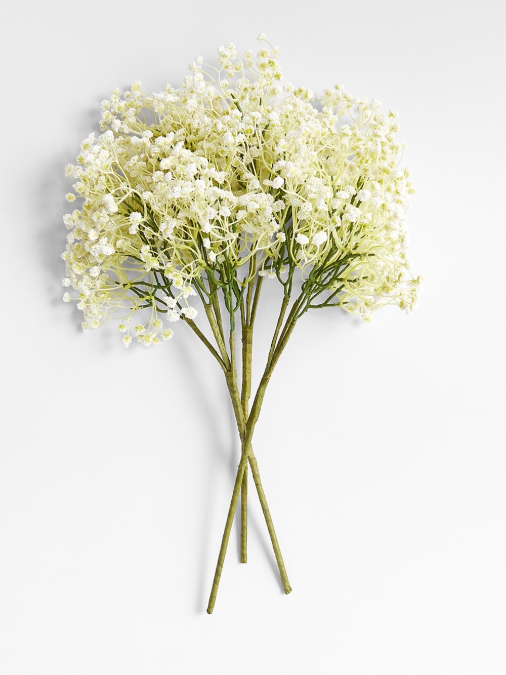 NEW Crate&Barrel White and Green Baby's Breath Flower Bouquet (5 Stems)